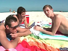 Hot gay threesome having fun under